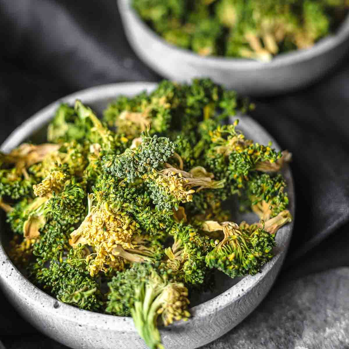 Dehydrated Broccoli on a gray tray.