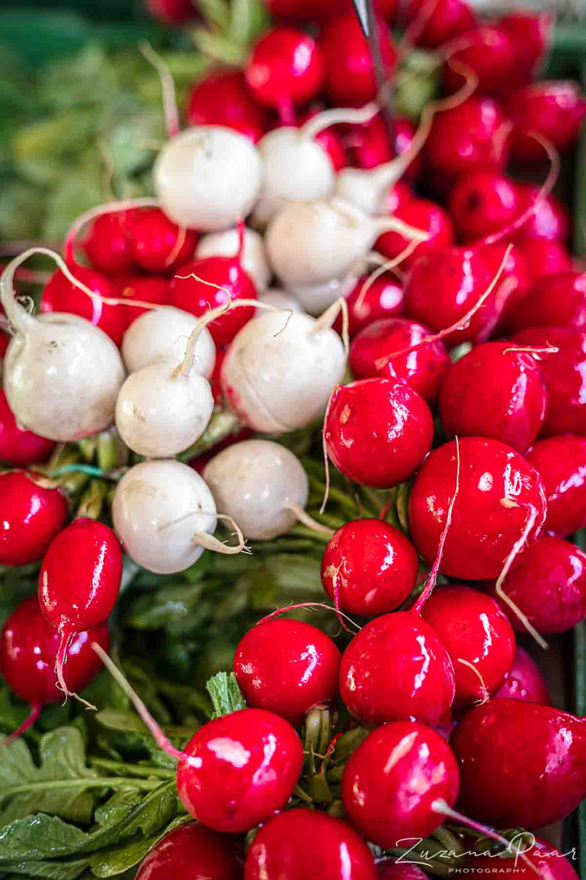 Red radishes and white radishes on display at a market.