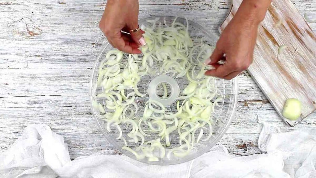 Spreading onion slices onto a dehydrator tray.