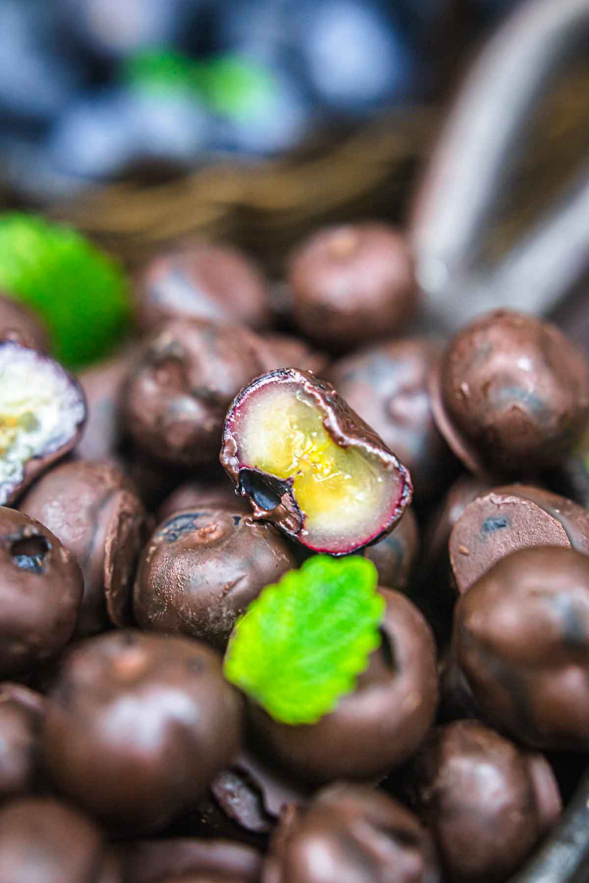 A bowl of chocolate covered blueberries with mint leaves.