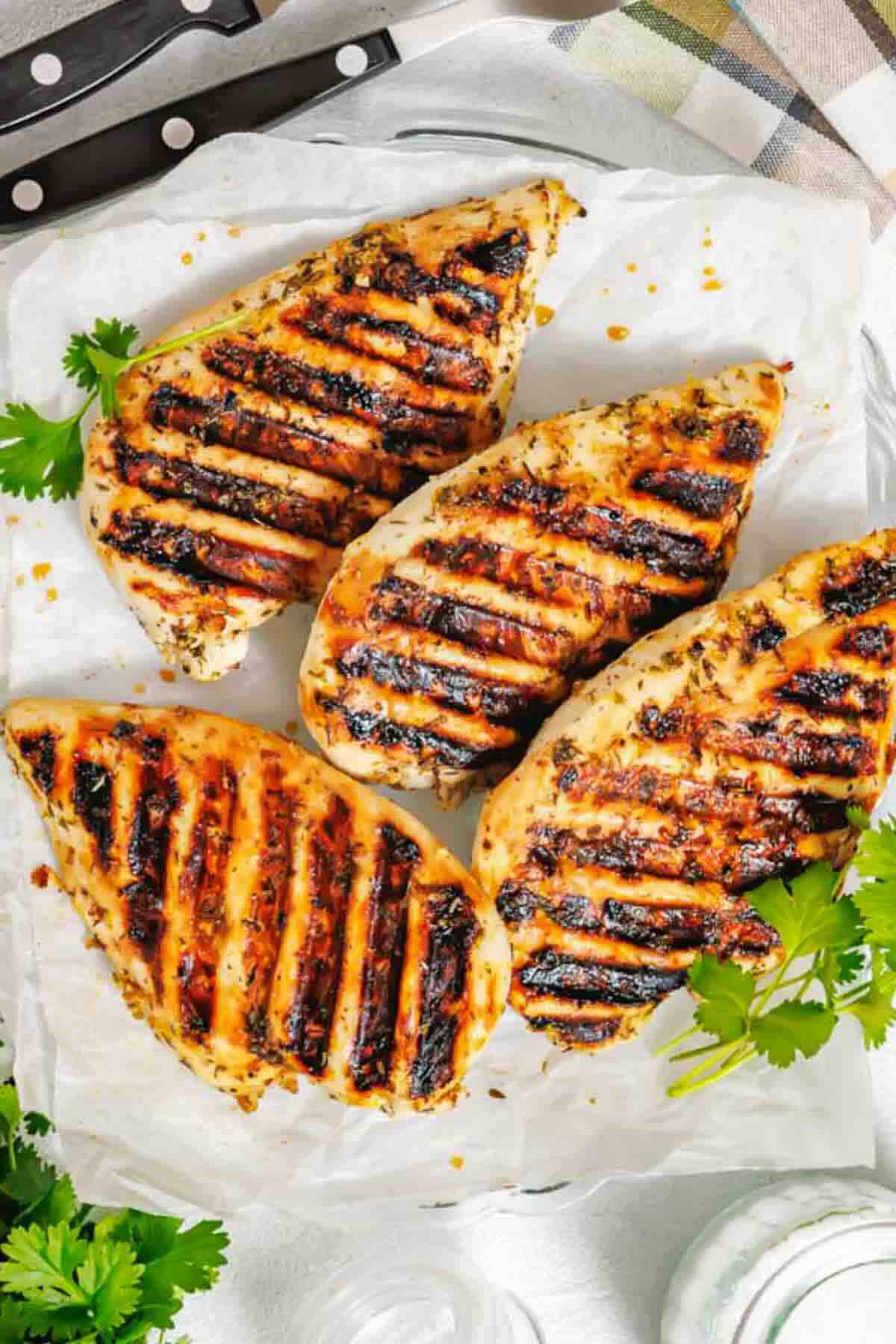 Four grilled chicken breasts with grill marks on parchment paper, garnished with fresh cilantro, on a glass plate.